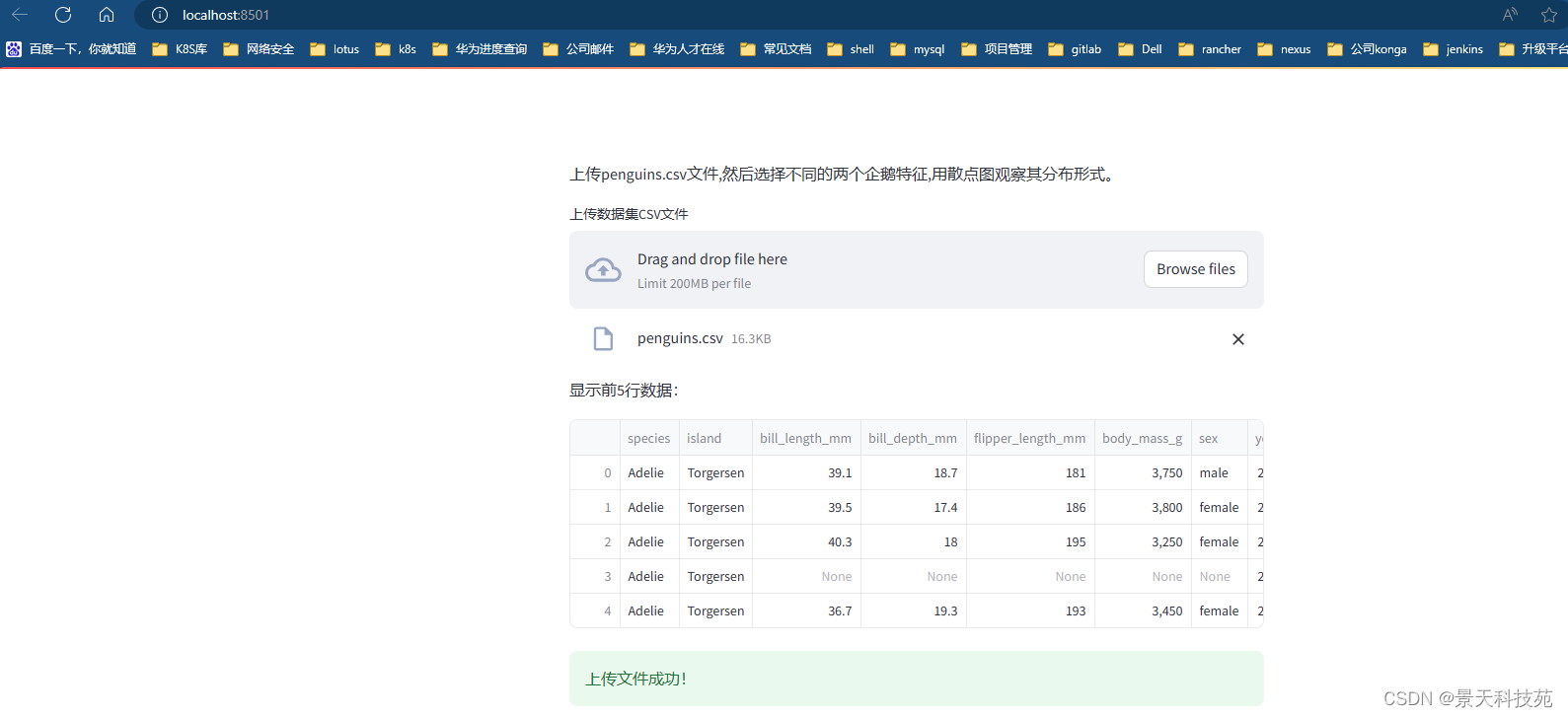 数据分析web可视化神器---streamlit框架，无需懂前端也能搭建出精美的web网站页面