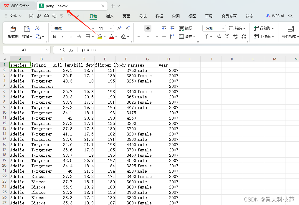 数据分析web可视化神器---streamlit框架，无需懂前端也能搭建出精美的web网站页面